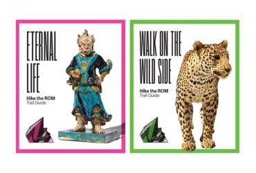 2 Hike the ROM cover pages, one with a Chinese sculpture and one with a leopard