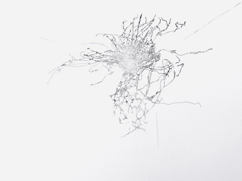 Works on Paper and Vellum