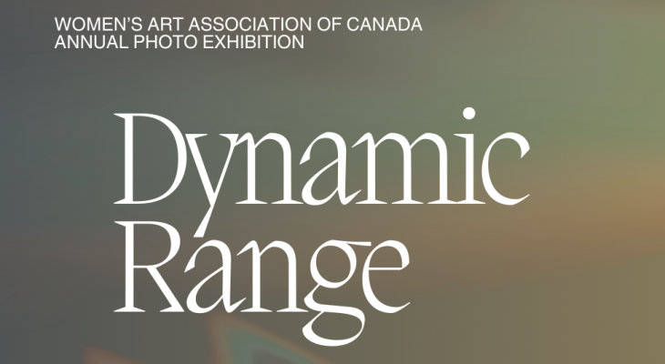 Graphic banner with a text Dynamic Range