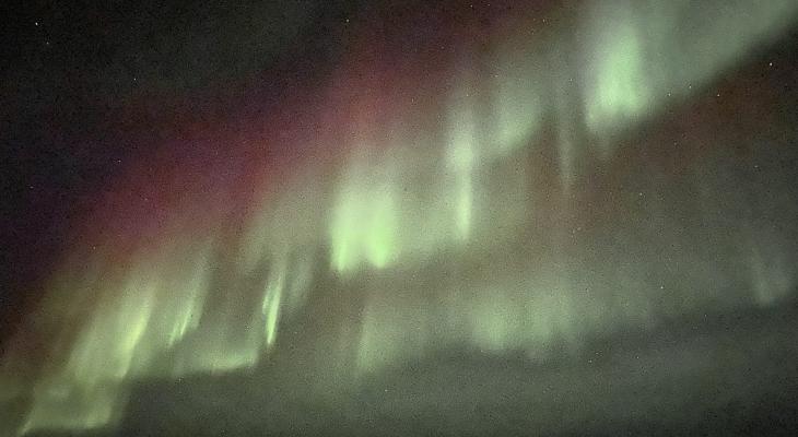 Picture of Aurora