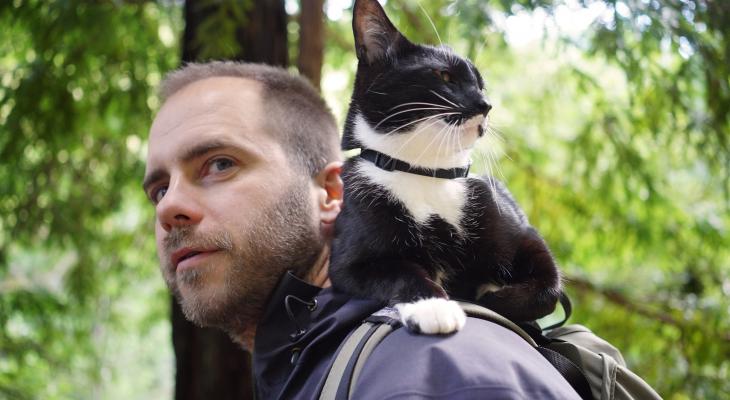 Cat Daddies