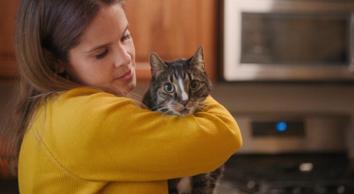 A woman holds a housecat.