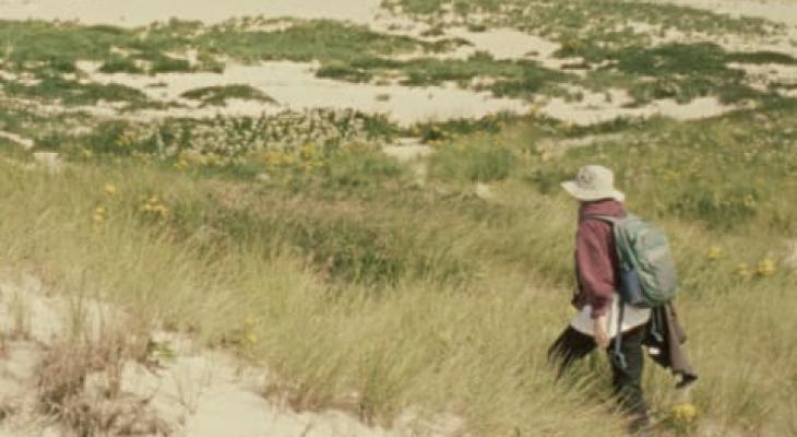 Geographies of Solitude