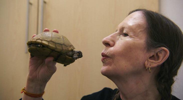 a woman pretending to kiss a turtle