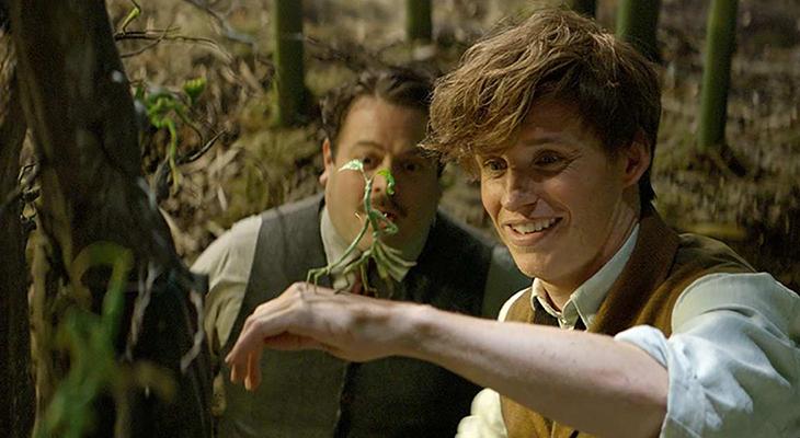 Scene from Fantastic Beasts and Where to Find Them. Two men in the forest. One man looking at a leaf creature placed on his hand. 