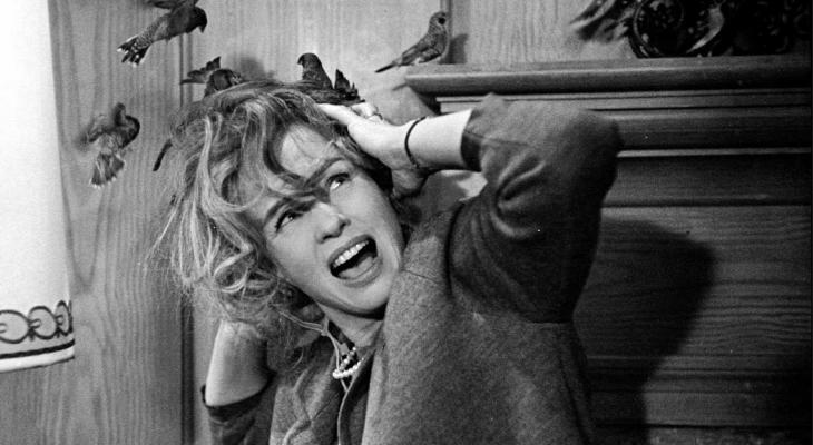 Tippi Hedren cowering from a bird attack.