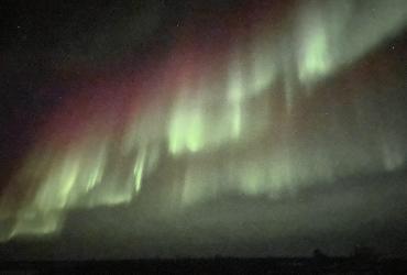 Picture of Aurora