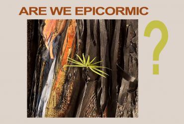 ARE WE EPICORMIC Paper Works by Susan Farquhar