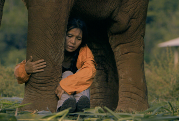 The Elephant Mother
