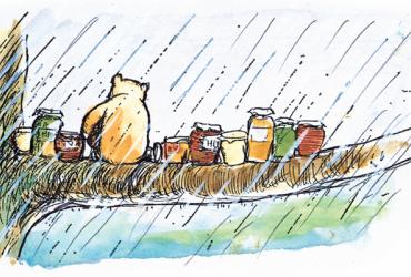 Winnie and jars of honey sitting on a branch