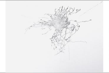 Title image for Works on Paper and Vellum