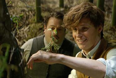 Scene from Fantastic Beasts and Where to Find Them. Two men in the forest. One man looking at a leaf creature placed on his hand. 