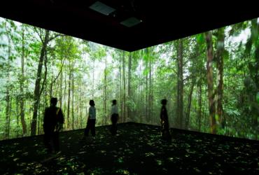 Visitors in front of a large mounted photograph of a lush forest