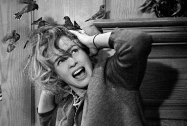 Tippi Hedren cowering from a bird attack.