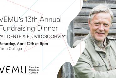 VEMU’s 13th Annual Fundraising Evening